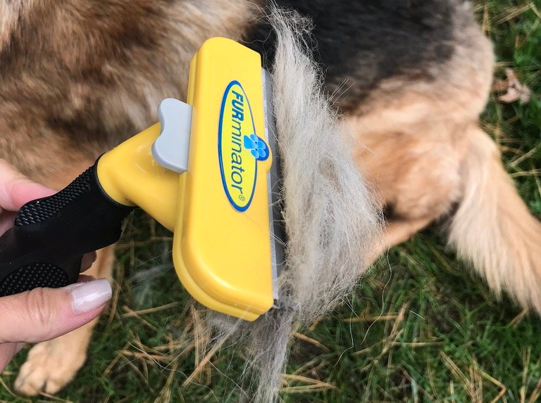 FURminator Dog Brush for Shedding Dogs