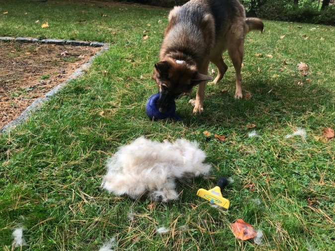 UNADJUSTEDNONRAW_thumb_34fa