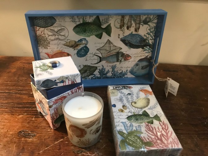 UNADJUSTEDNONRAW_thumb_3ad6