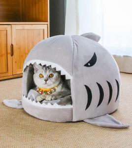 sharkbed