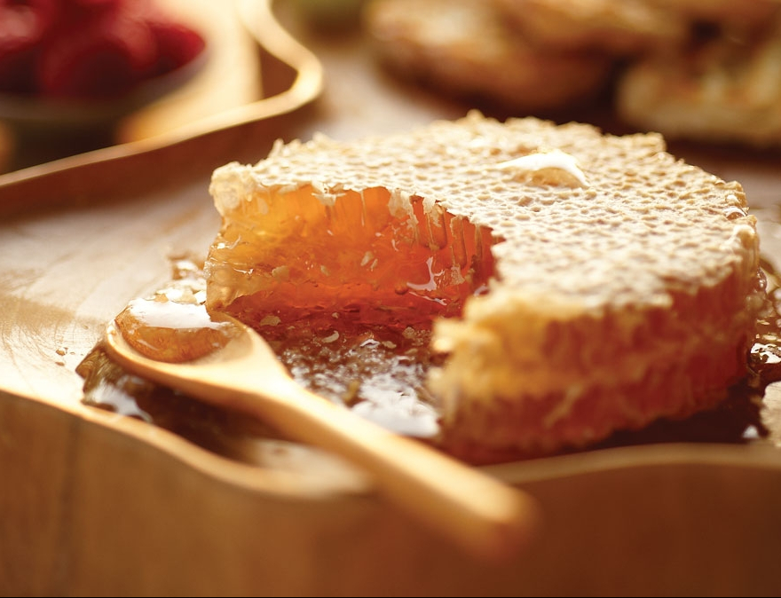 Savannah Bee Honeycomb